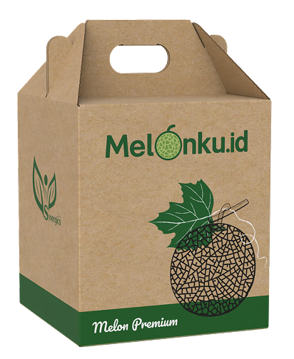 Melon Object