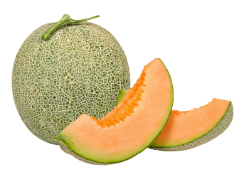 Melon Decor