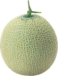 Melon Object